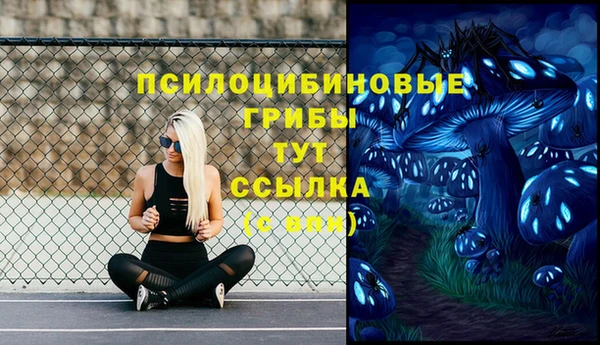 spice Белоозёрский