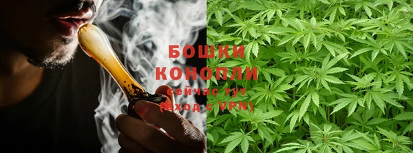 гидропоника Белокуриха