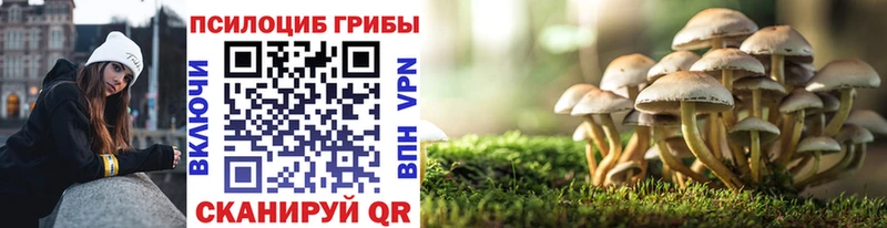 Галлюциногенные грибы прущие грибы kraken онион Демидов